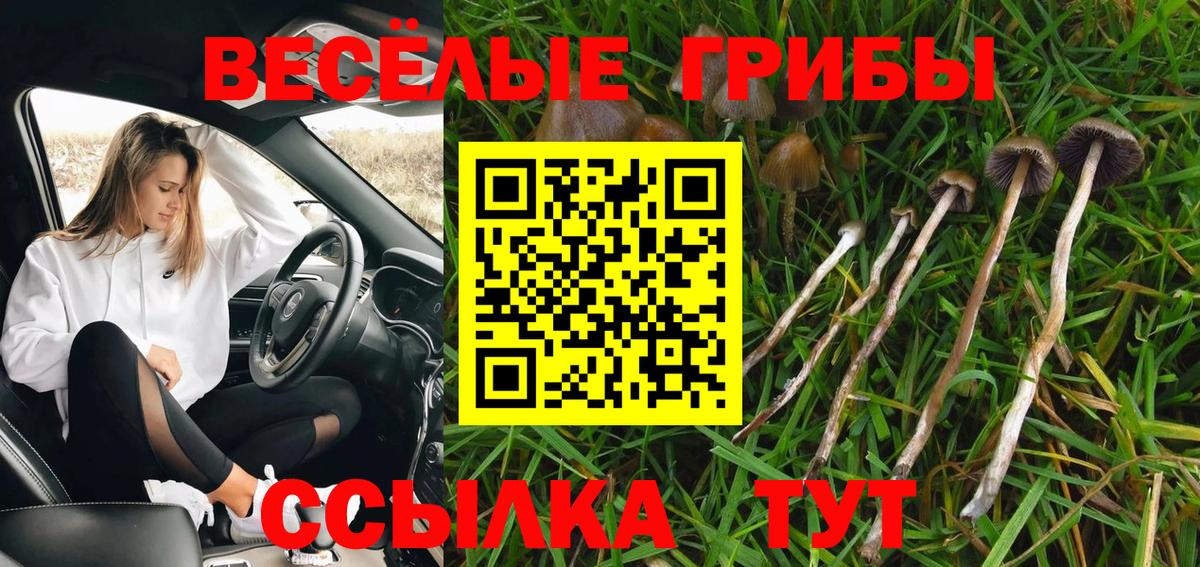 Галлюциногенные грибы ЛСД  Вход с VPN  Конаково  Псилоцибиновые грибы Psilocybe 