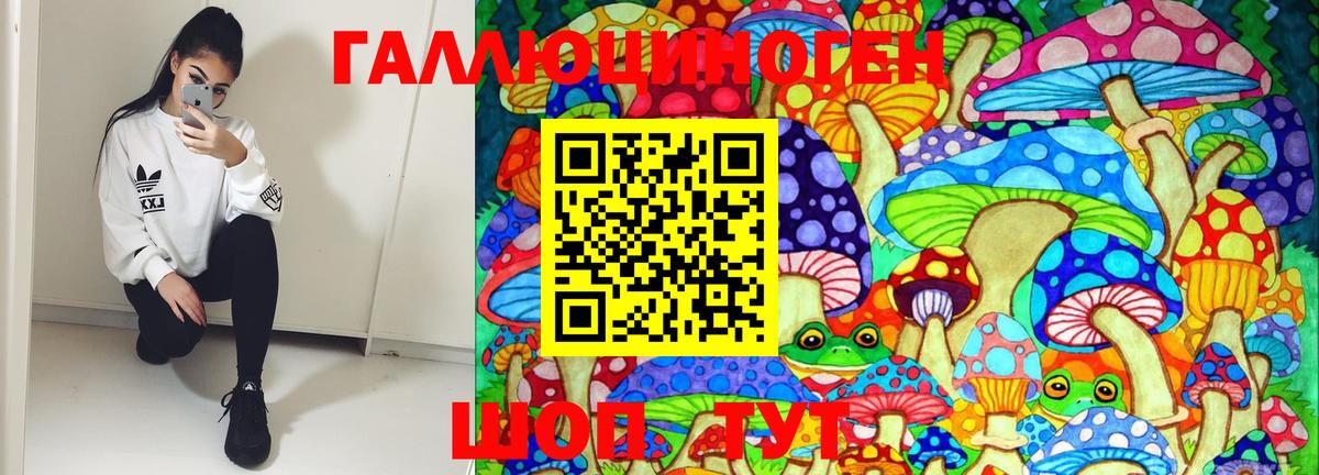 Псилоцибиновые грибы MAGIC MUSHROOMS Конаково